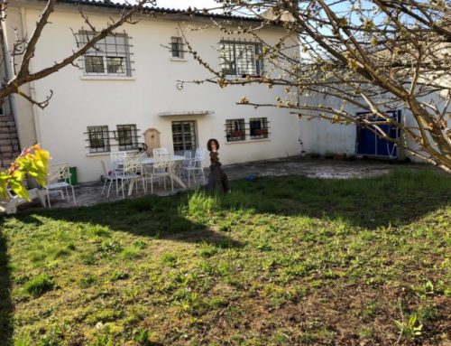 Colombes proche parc de l’île Marante et du stade Yves du Manoir